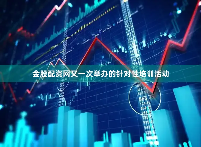 金股配资网又一次举办的针对性培训活动