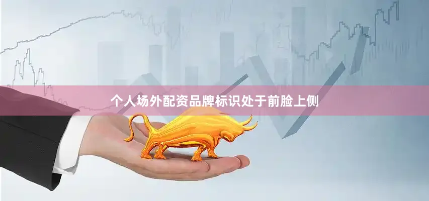个人场外配资品牌标识处于前脸上侧