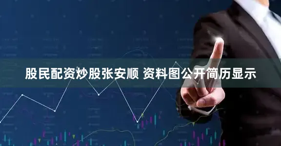 股民配资炒股张安顺 资料图公开简历显示