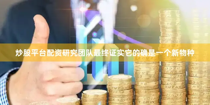 炒股平台配资研究团队最终证实它的确是一个新物种